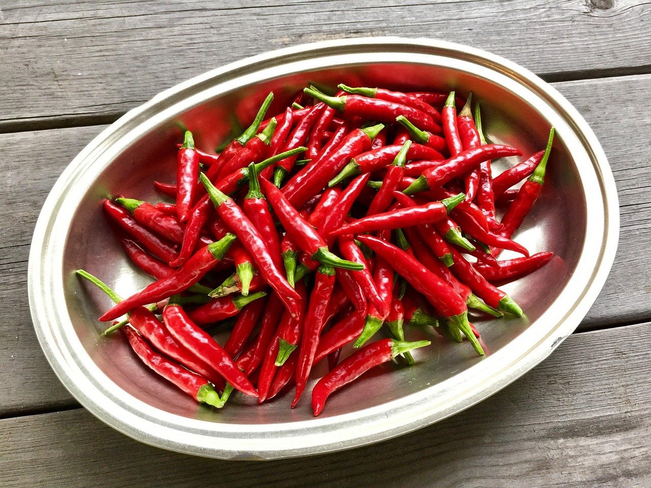 pepper, eagle talon, kitchen garden, pepper, pepper, pepper, pepper, pepper