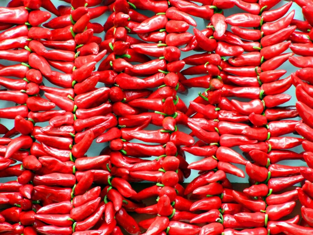 Colorful display of vibrant red Espelette peppers hung in traditional style at a market in France.