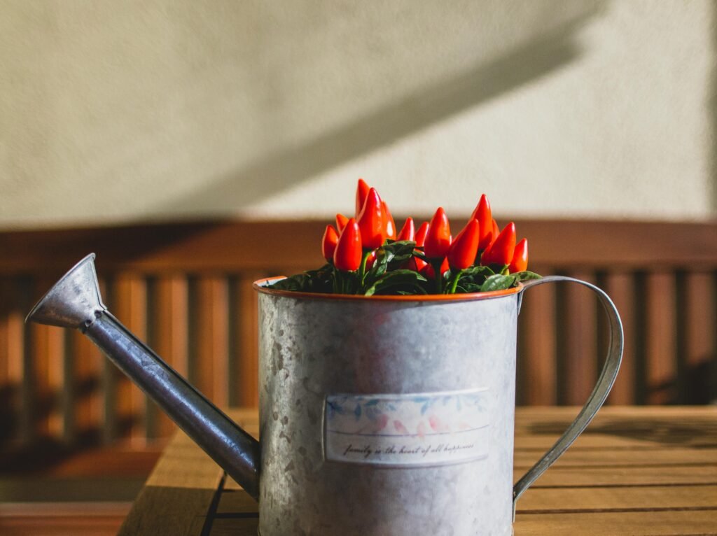 A collection of red chili peppers arranged in a rustic metal watering can on a wooden table indoors.