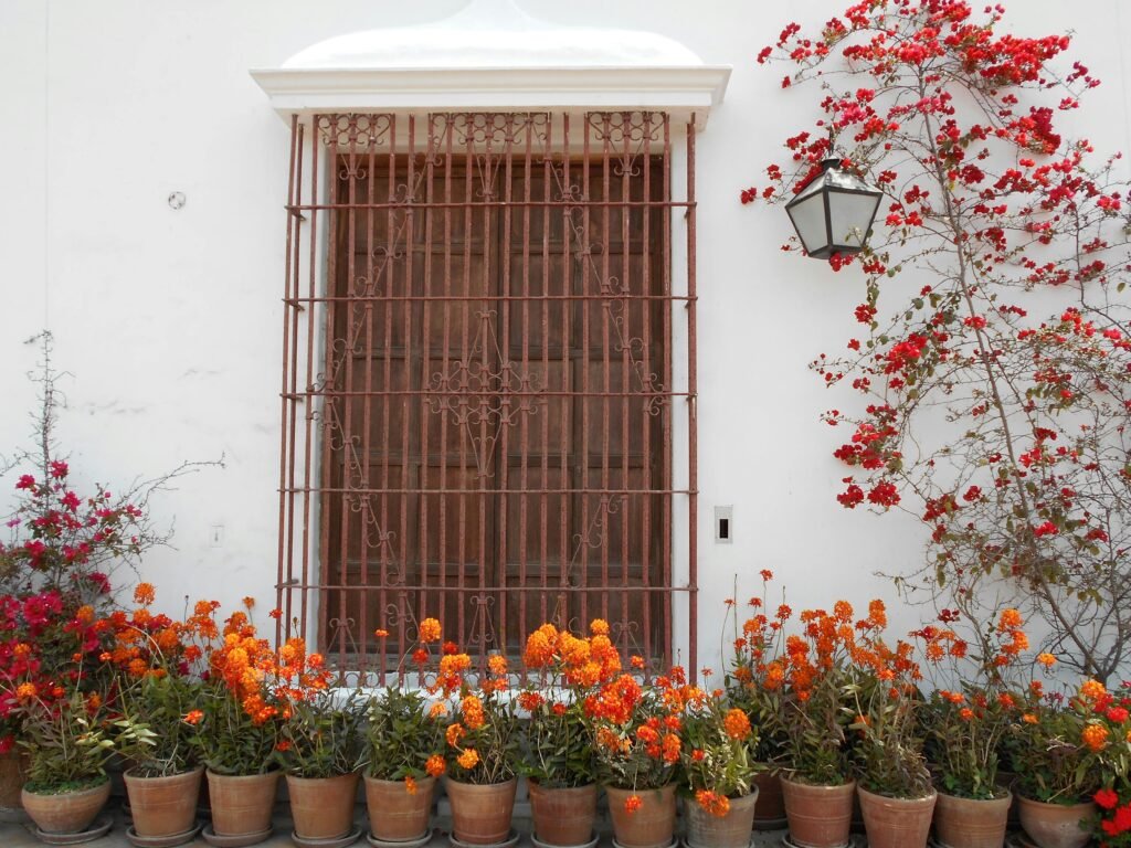 Colorful flower pots with red and orange blooms enhance a traditional Peruvian window with wrought iron grille.